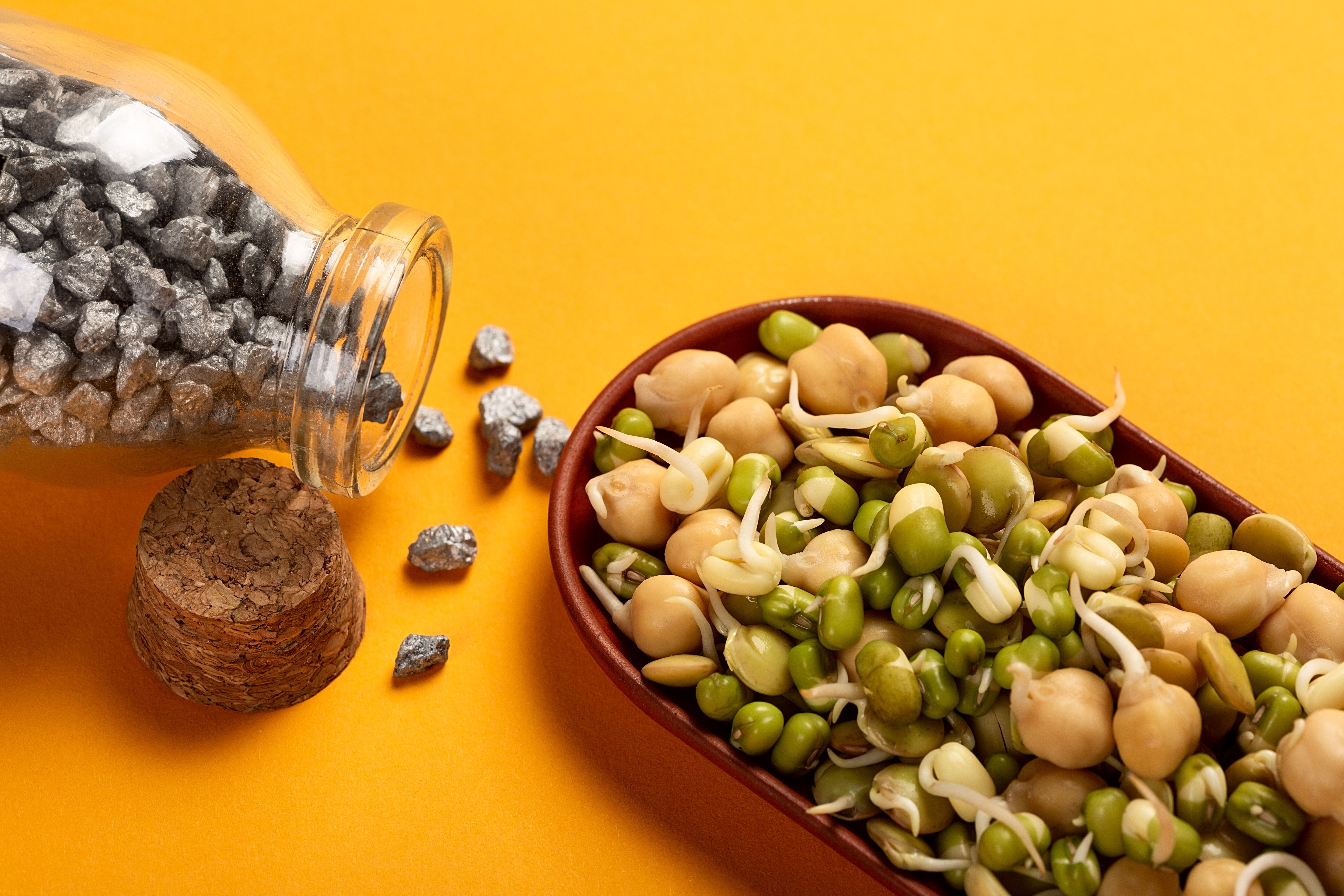 Best protein sources for vegetarians